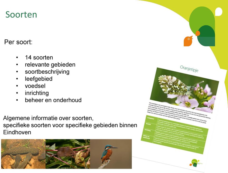 beheer en onderhoud Algemene informatie over