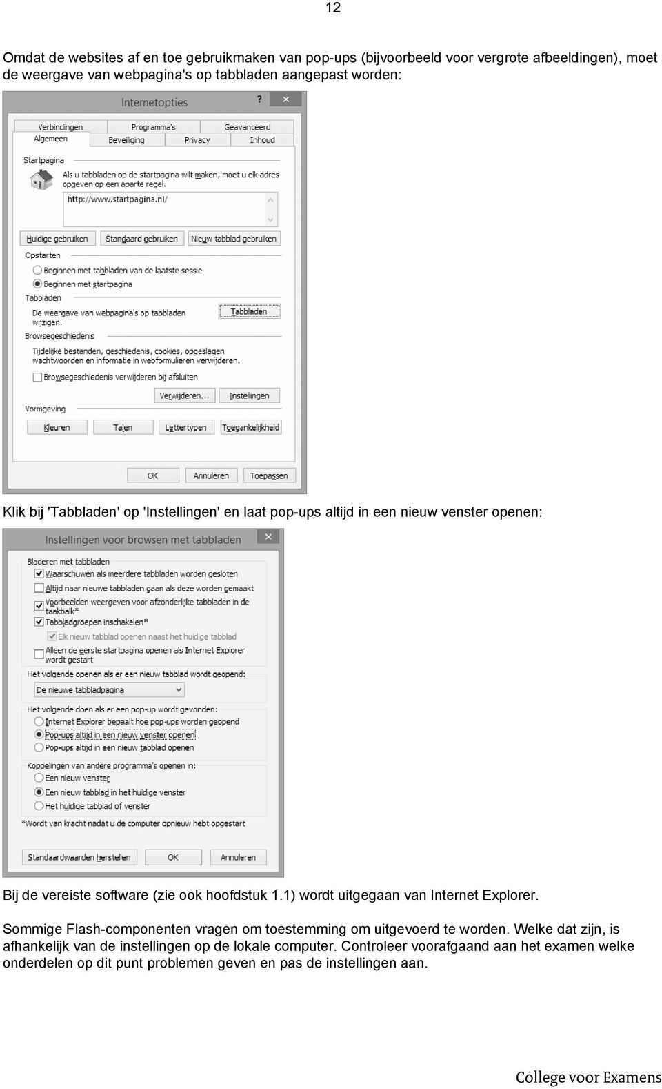 hoofdstuk 1.1) wordt uitgegaan van Internet Explorer. Sommige Flash-componenten vragen om toestemming om uitgevoerd te worden.