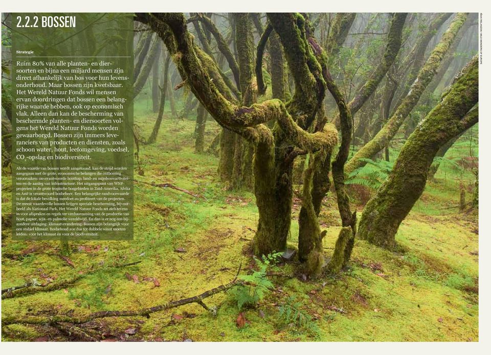 Alleen dan kan de bescherming van beschermde planten- en diersoorten volgens het Wereld Natuur Fonds worden gewaarborgd.