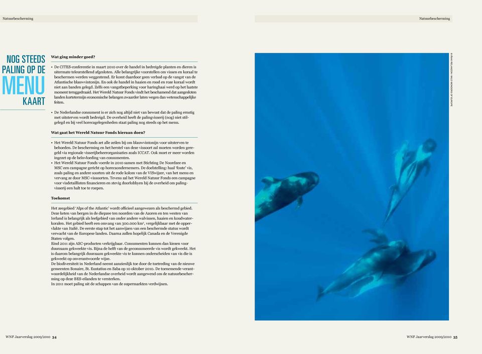 Alle belangrijke voorstellen om vissen en koraal te beschermen werden weggestemd. Er komt daardoor geen verbod op de vangst van de Atlantische blauwvintonijn.