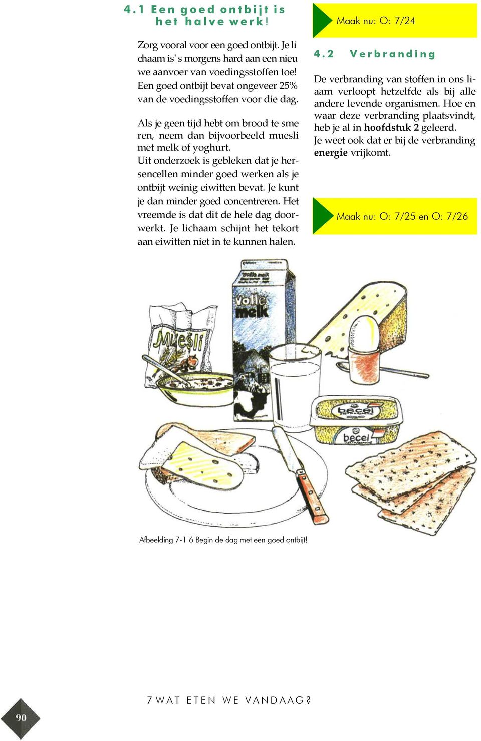 Uit onderzoek is gebleken dat je hersencellen minder goed werken als je ontbijt weinig eiwitten bevat. Je kunt je dan minder goed concentreren. Het vreemde is dat dit de hele dag doorwerkt.