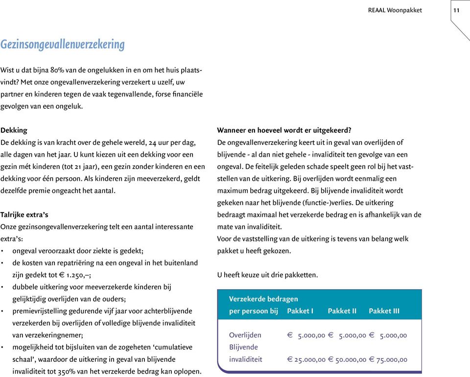 Dekking De dekking is van kracht over de gehele wereld, 24 uur per dag, alle dagen van het jaar.