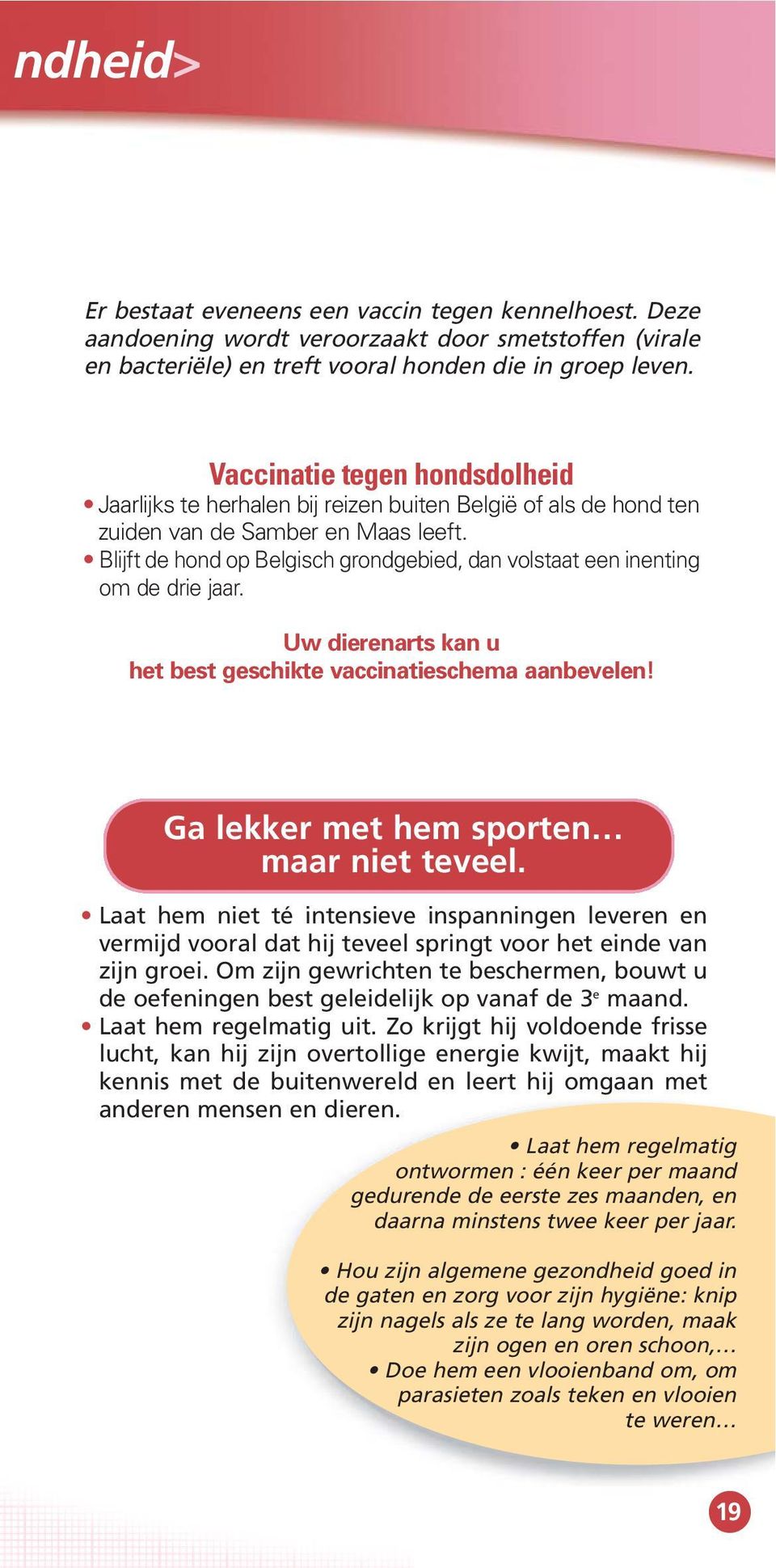 Blijft de hond op Belgisch grondgebied, dan volstaat een inenting om de drie jaar. Uw dierenarts kan u het best geschikte vaccinatieschema aanbevelen! Ga lekker met hem sporten maar niet teveel.