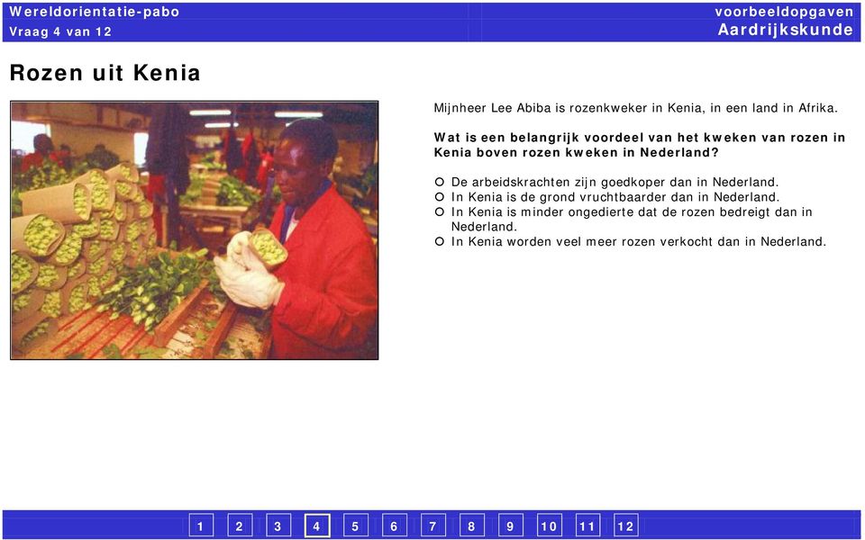 De arbeidskrachten zijn goedkoper dan in Nederland. In Kenia is de grond vruchtbaarder dan in Nederland.