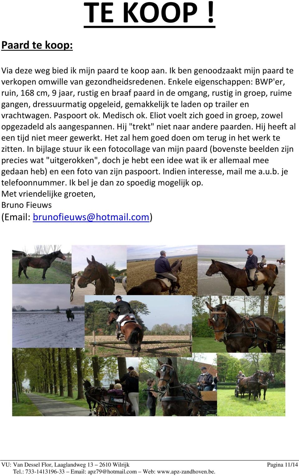 Paspoort ok. Medisch ok. Eliot voelt zich goed in groep, zowel opgezadeld als aangespannen. Hij "trekt" niet naar andere paarden. Hij heeft al een tijd niet meer gewerkt.