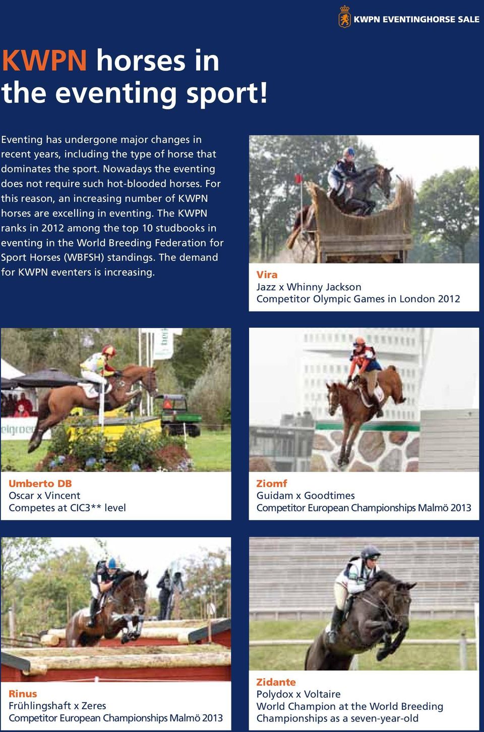 The KWPN ranks in 2012 among the top 10 studbooks in eventing in the World Breeding Federation for Sport Horses (WBFSH) standings. The demand for KWPN eventers is increasing.