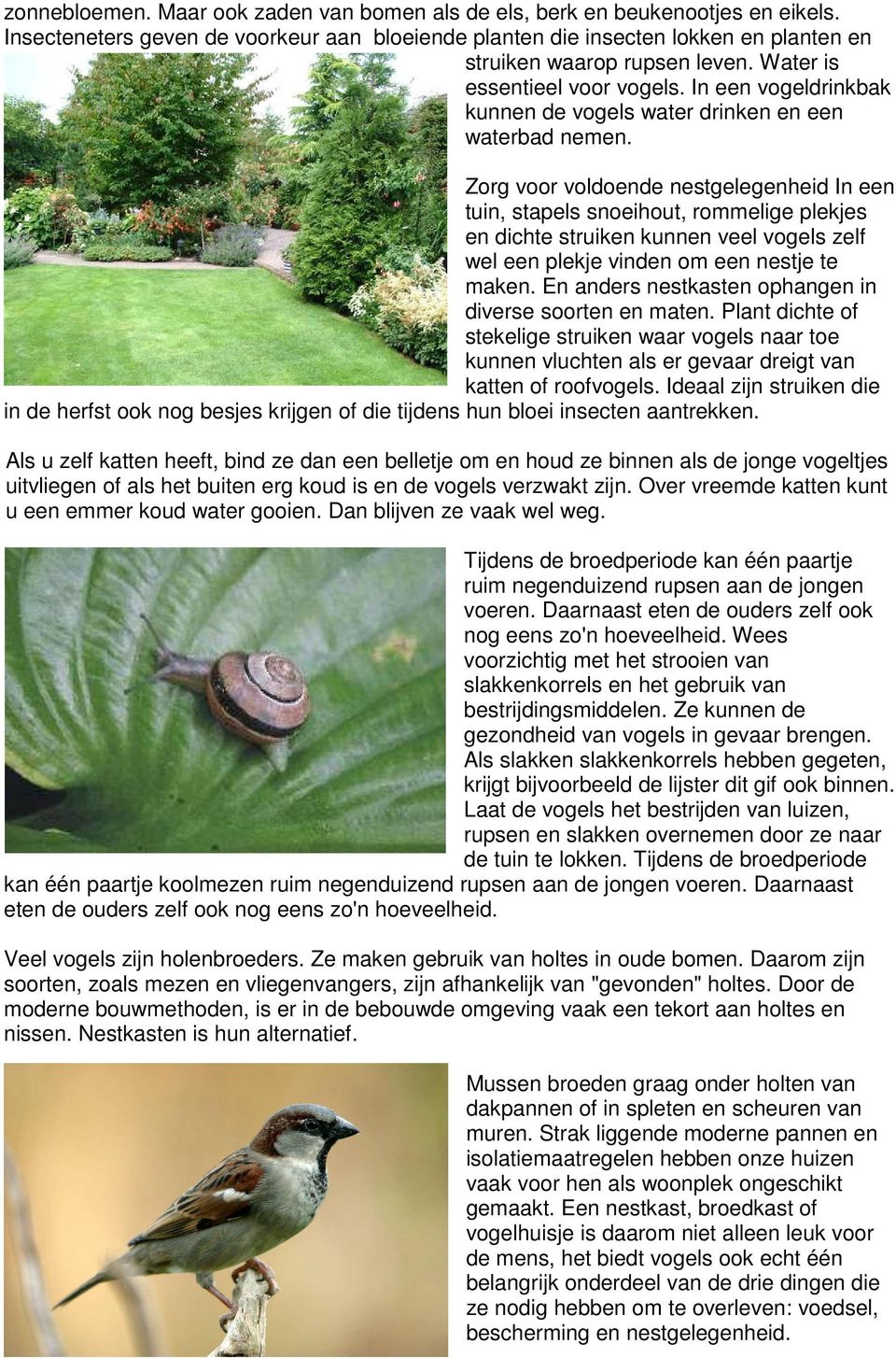 Zorg voor voldoende nestgelegenheid In een tuin, stapels snoeihout, rommelige plekjes en dichte struiken kunnen veel vogels zelf wel een plekje vinden om een nestje te maken.