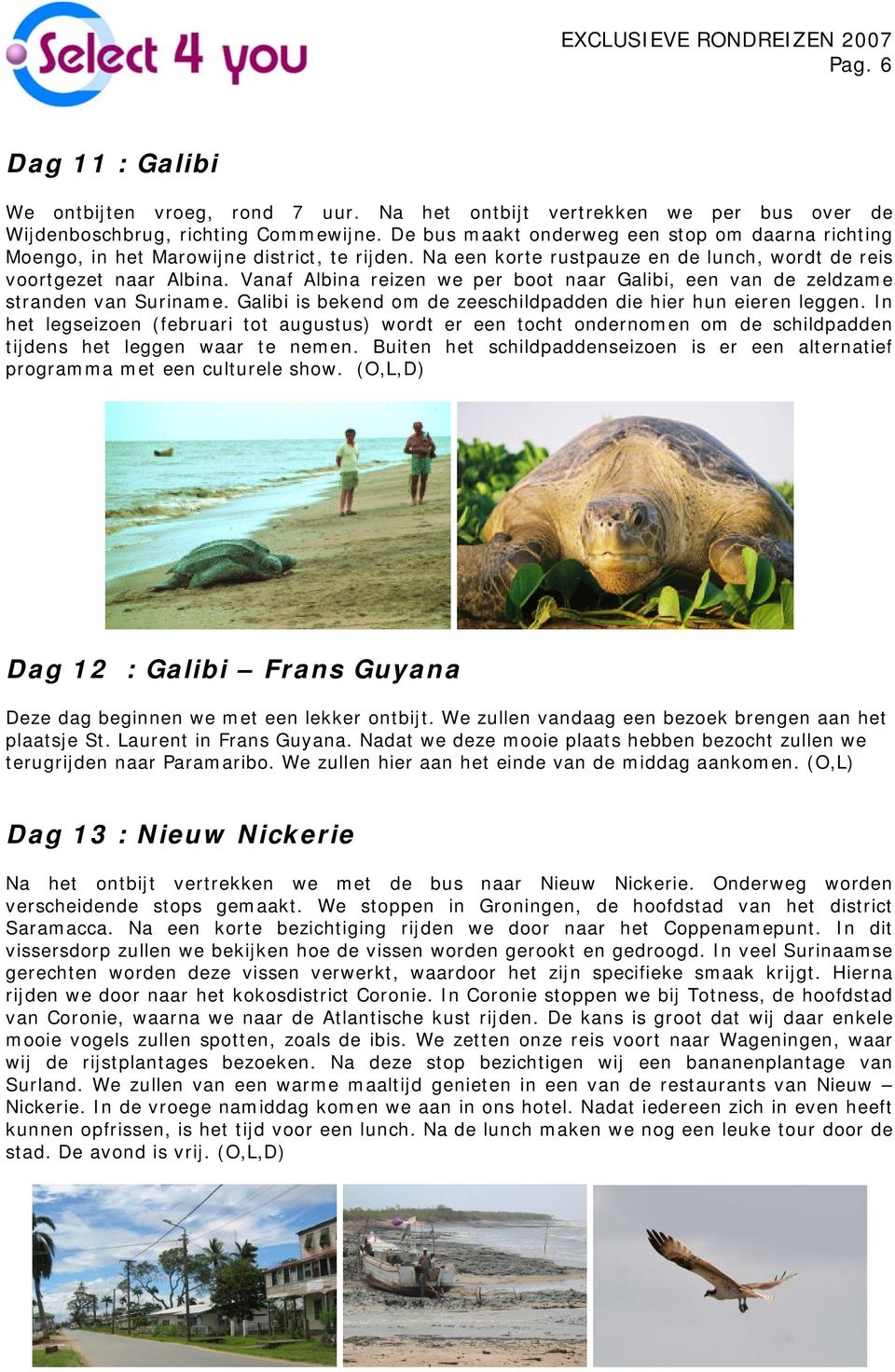 Vanaf Albina reizen we per boot naar Galibi, een van de zeldzame stranden van Suriname. Galibi is bekend om de zeeschildpadden die hier hun eieren leggen.
