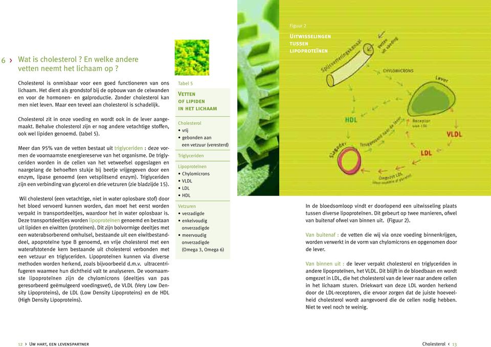 Cholesterol zit in onze voeding en wordt ook in de lever aangemaakt. Behalve cholesterol zijn er nog andere vetachtige stoffen, ook wel lipiden genoemd. (tabel 5).