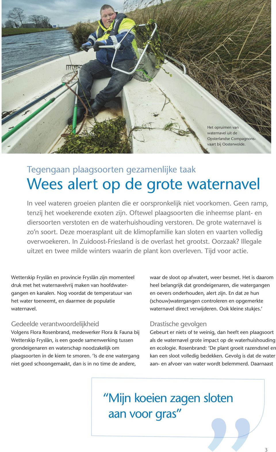 Oftewel plaagsoorten die inheemse plant- en diersoorten verstoten en de waterhuishouding verstoren. De grote waternavel is zo n soort.