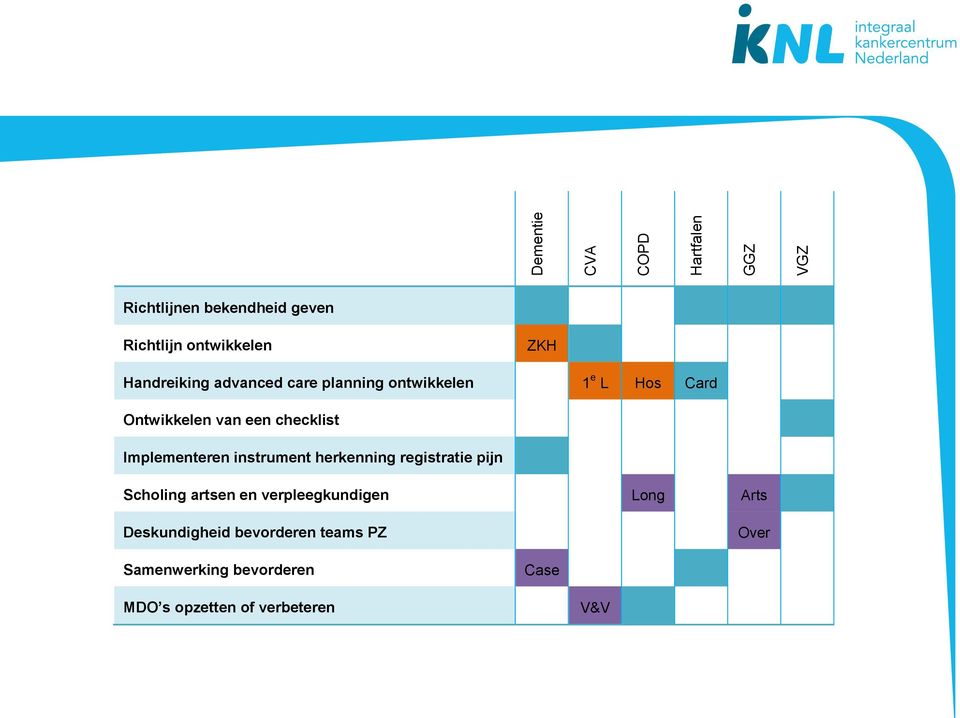 Implementeren instrument herkenning registratie pijn Scholing artsen en verpleegkundigen Long