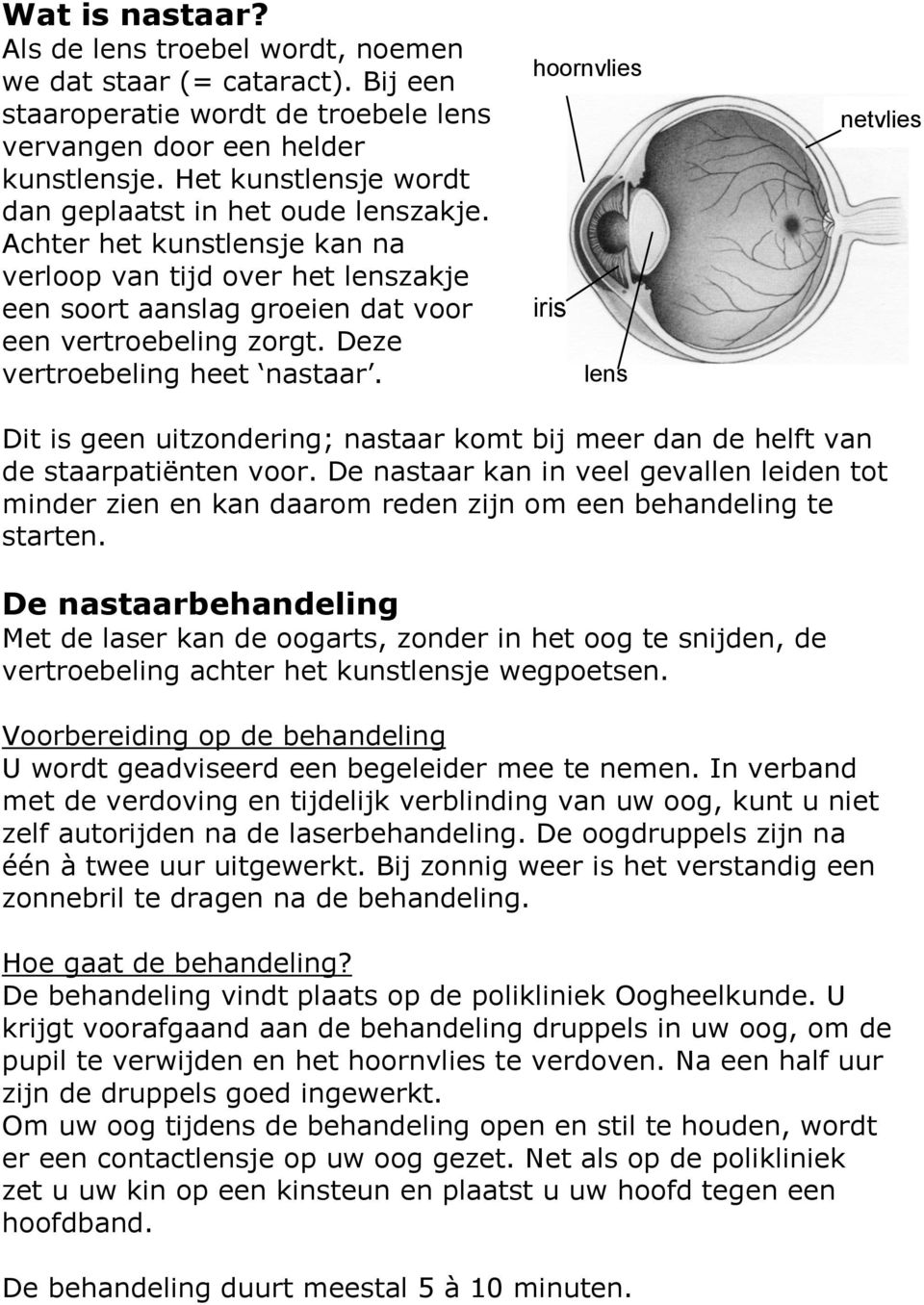 Deze vertroebeling heet nastaar. hoornvlies iris lens netvlies Dit is geen uitzondering; nastaar komt bij meer dan de helft van de staarpatiënten voor.