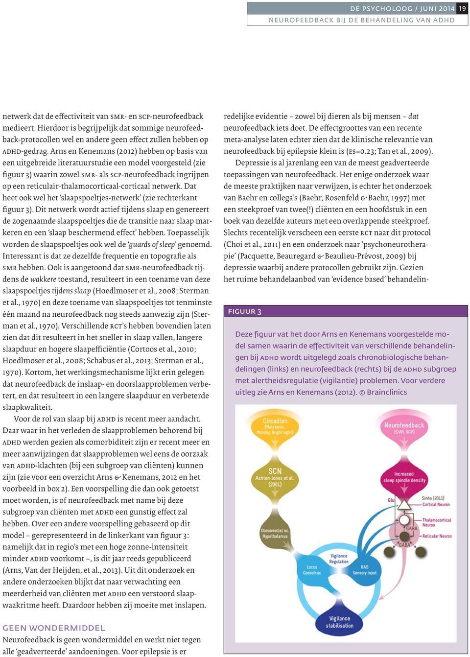 Arns en Kenemans (2012) hebben op basis van een uitgebreide literatuurstudie een model voorgesteld (zie figuur 3) waarin zowel smr- als scp-neurofeedback ingrijpen op een