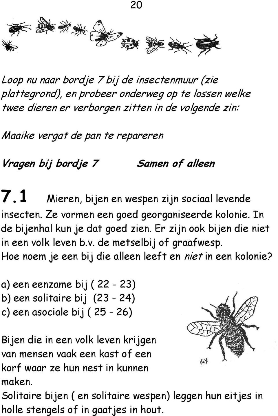 Er zijn ook bijen die niet in een volk leven b.v. de metselbij of graafwesp. Hoe noem je een bij die alleen leeft en niet in een kolonie?