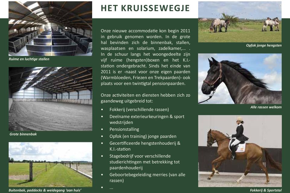 Sinds het einde van 2011 is er -naast voor onze eigen paarden (Warmbloeden, Friezen en Trekpaarden)- ook plaats voor een twintigtal pensionpaarden.