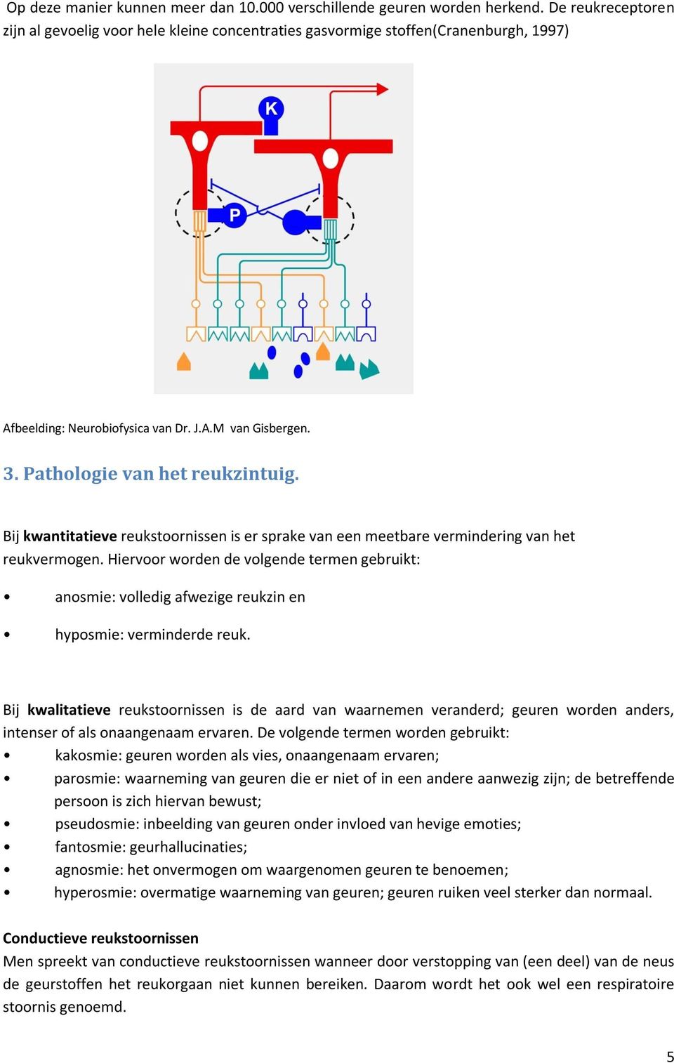 Bij kwantitatieve reukstoornissen is er sprake van een meetbare vermindering van het reukvermogen.