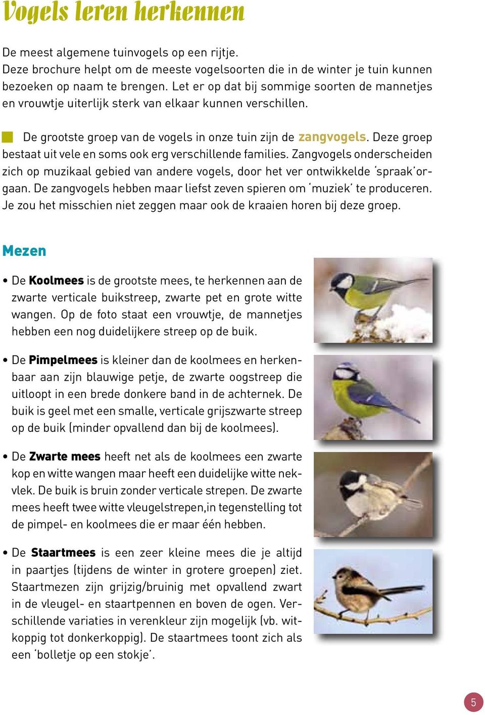 Deze groep bestaat uit vele en soms ook erg verschillende families. Zangvogels onderscheiden zich op muzikaal gebied van andere vogels, door het ver ontwikkelde spraak orgaan.