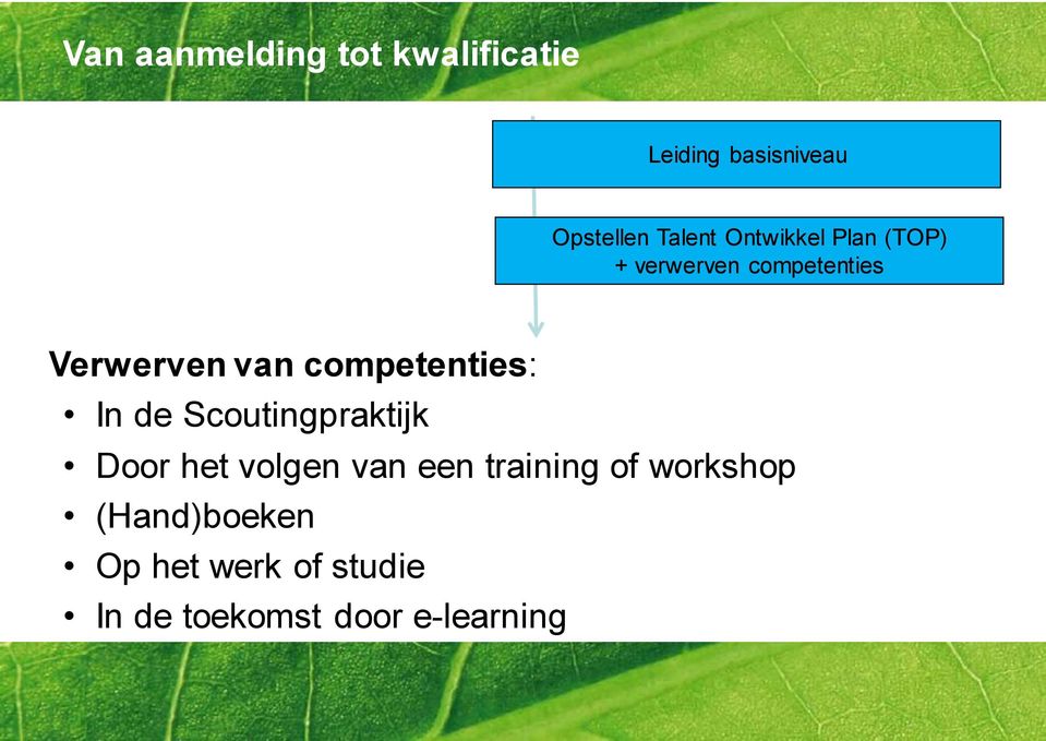 competenties: In de Scoutingpraktijk Door het volgen van een