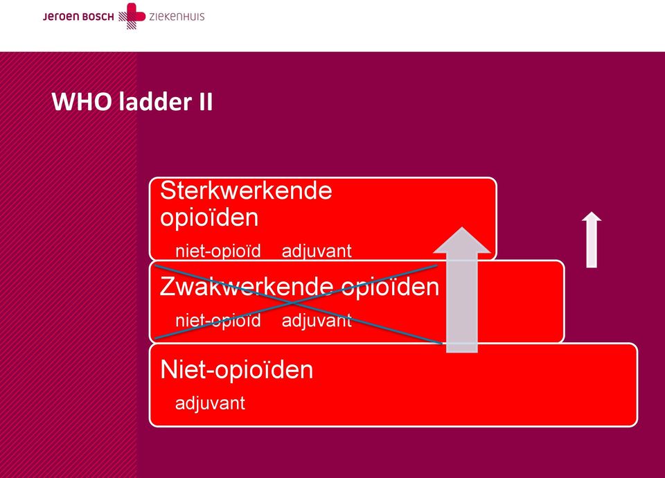 Zwakwerkende opioïden