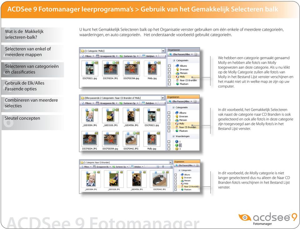 Als u nu klikt op de Molly Categorie zullen alle foto s van Molly in het Bestand Lijst venster verschijnen en het maakt niet uit in welke map ze zijn op uw computer.