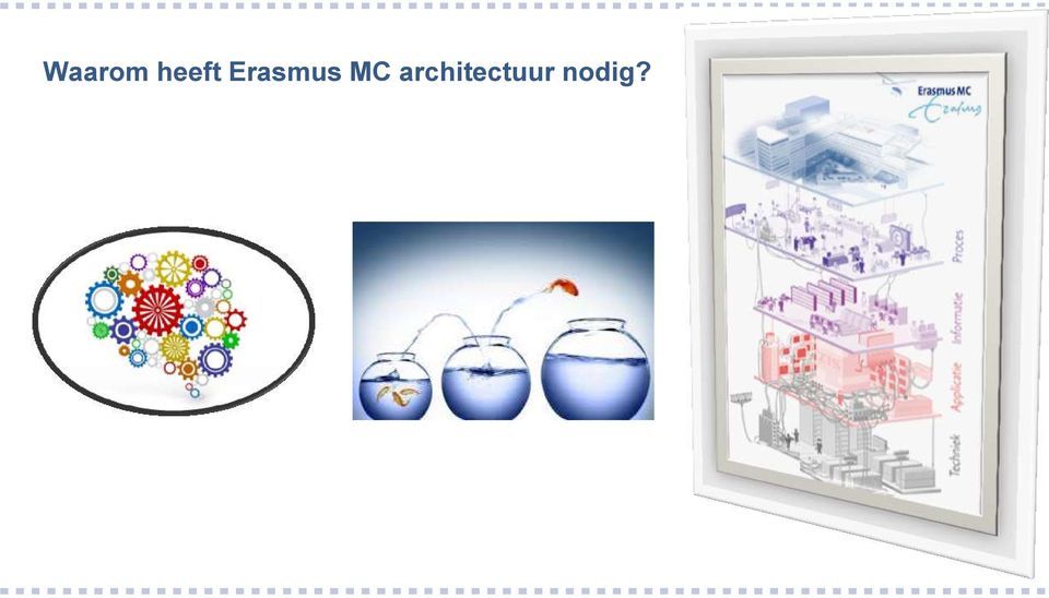 Erasmus MC