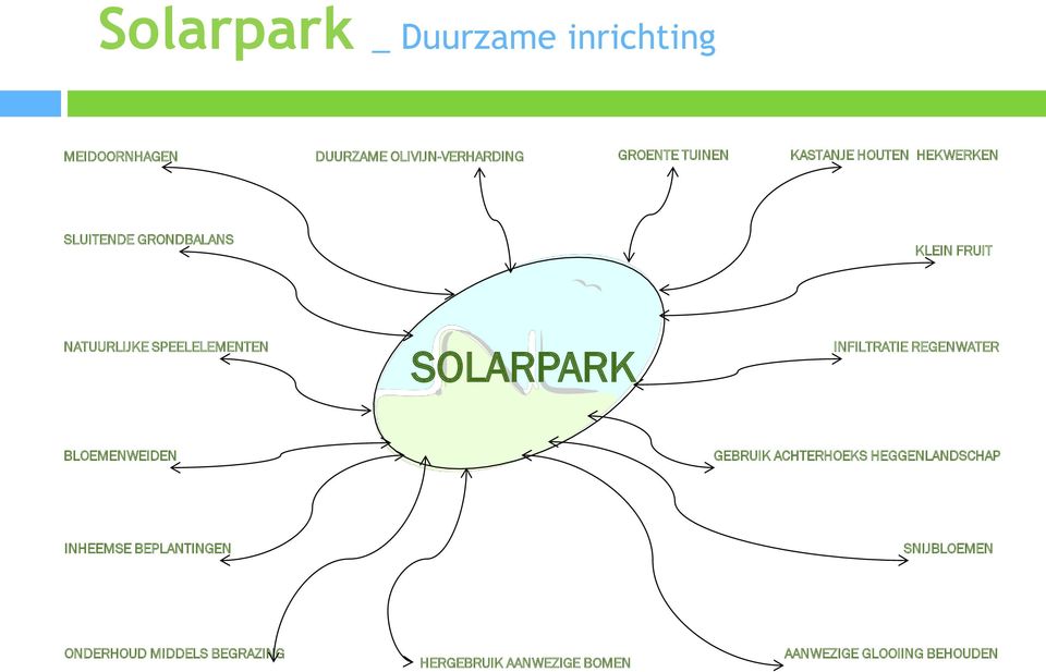 SOLARPARK INFILTRATIE REGENWATER BLOEMENWEIDEN GEBRUIK ACHTERHOEKS HEGGENLANDSCHAP INHEEMSE