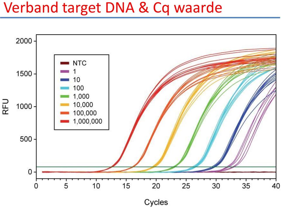 DNA & Cq