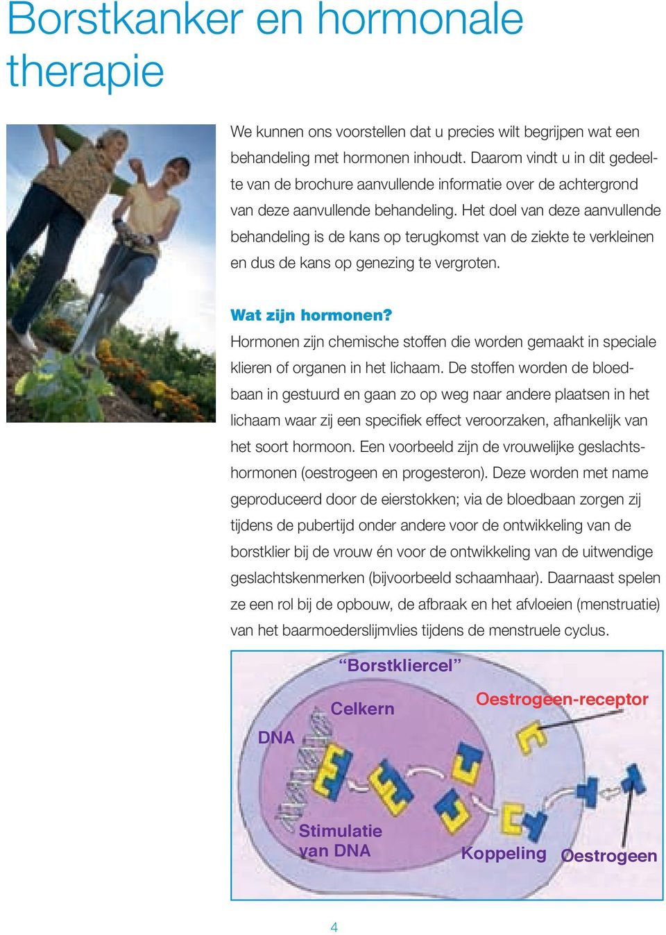 Het doel van deze aanvullende behandeling is de kans op terugkomst van de ziekte te verkleinen en dus de kans op genezing te vergroten. Wat zijn hormonen?