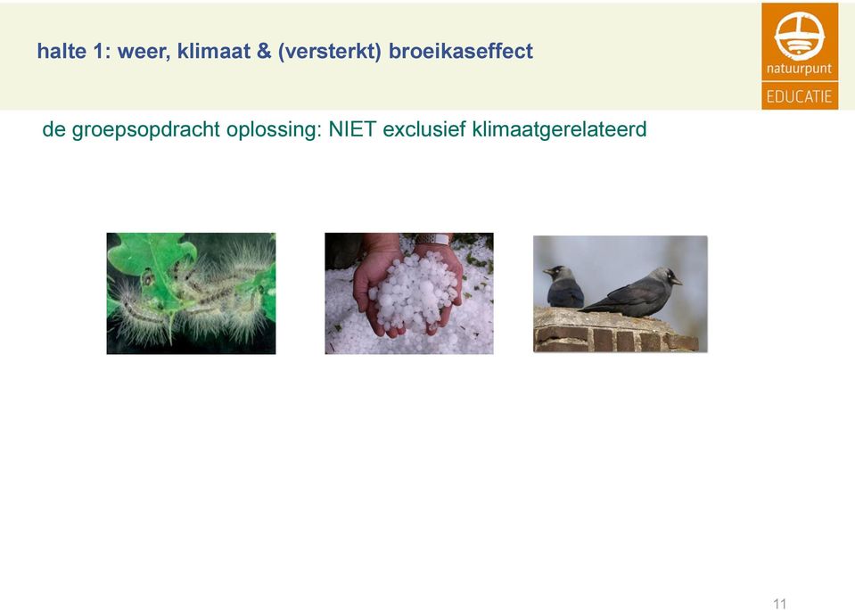 groepsopdracht oplossing: