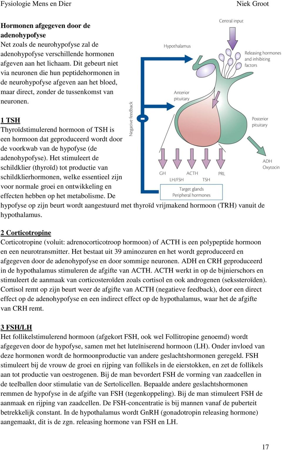 1 TSH Thyroïdstimulerend hormoon of TSH is een hormoon dat geproduceerd wordt door de voorkwab van de hypofyse (de adenohypofyse).