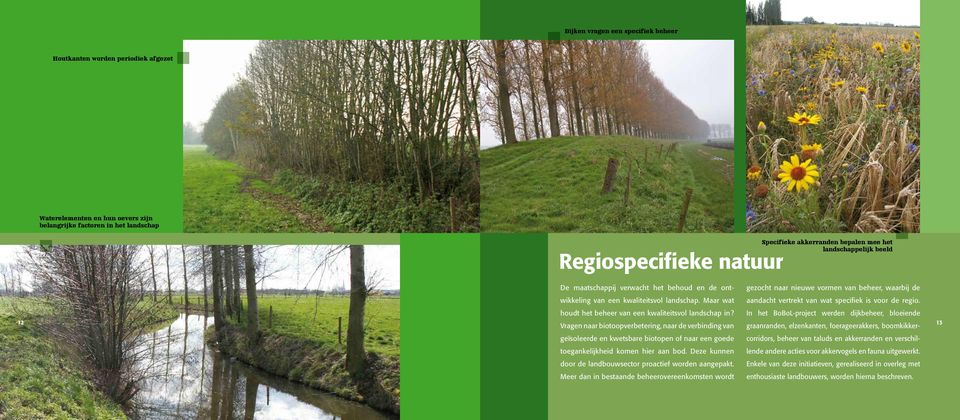 Maar wat aandacht vertrekt van wat specifiek is voor de regio. 12 houdt het beheer van een kwaliteitsvol landschap in?