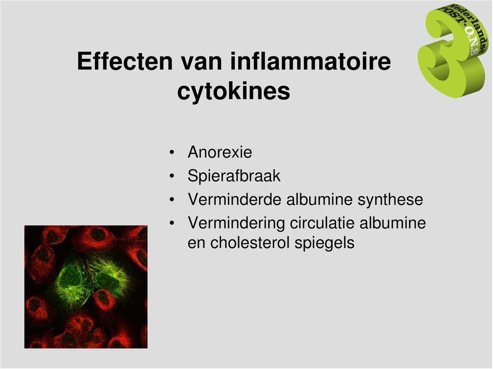 albumine synthese Vermindering