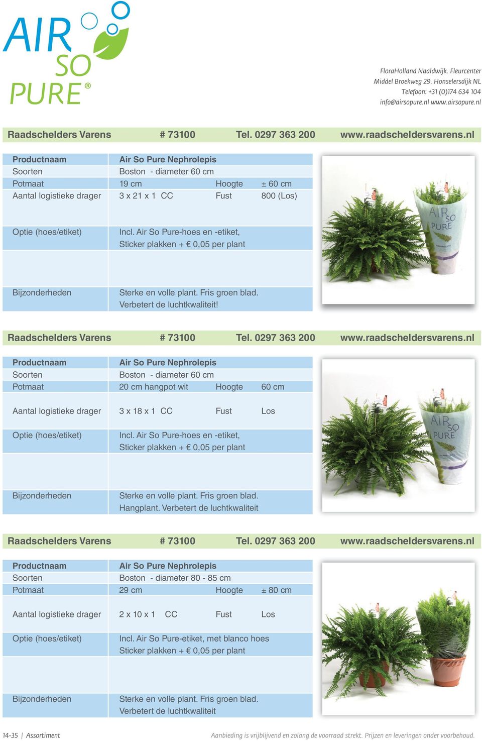 Fris groen blad. Verbetert de luchtkwaliteit! nl Air So Pure Nephrolepis Boston - diameter 60 cm Potmaat 20 cm hangpot wit Hoogte 60 cm Aantal logistieke drager 3 x 18 x 1 CC Fust Los Incl.