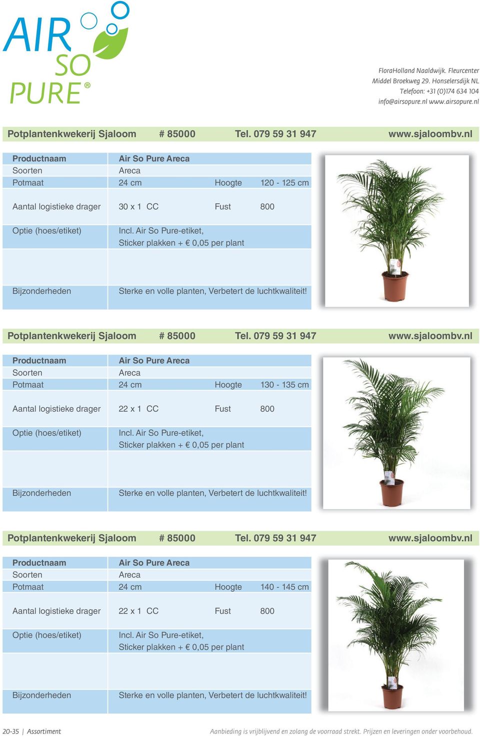 nl Air So Pure Areca Areca Potmaat 24 cm Hoogte 130-135 cm Aantal logistieke drager 22 x 1 CC Fust 800 Incl.