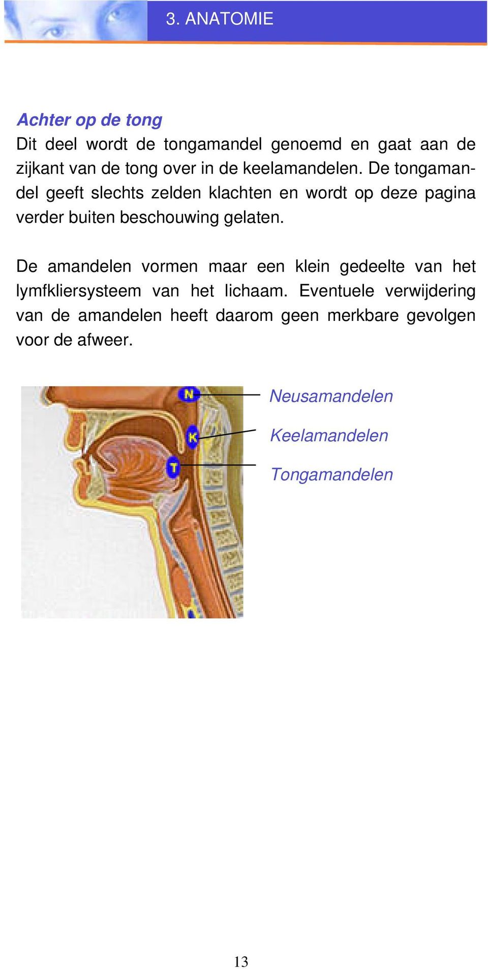 De tongamandel geeft slechts zelden klachten en wordt op deze pagina verder buiten beschouwing gelaten.