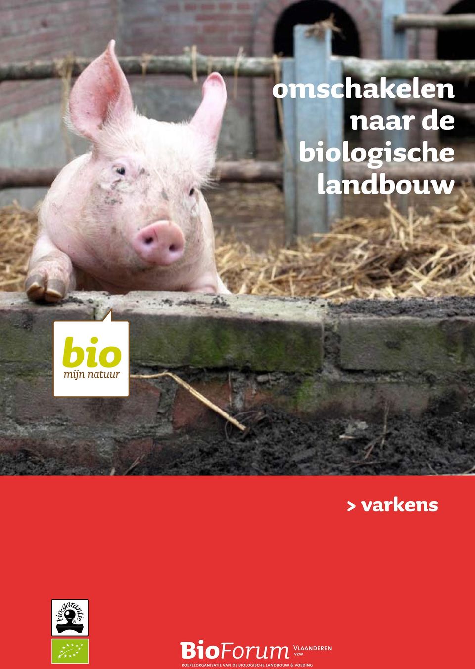 varkens  biologische landbouw