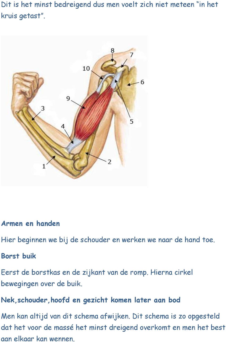 Borst buik Eerst de borstkas en de zijkant van de romp. Hierna cirkel bewegingen over de buik.