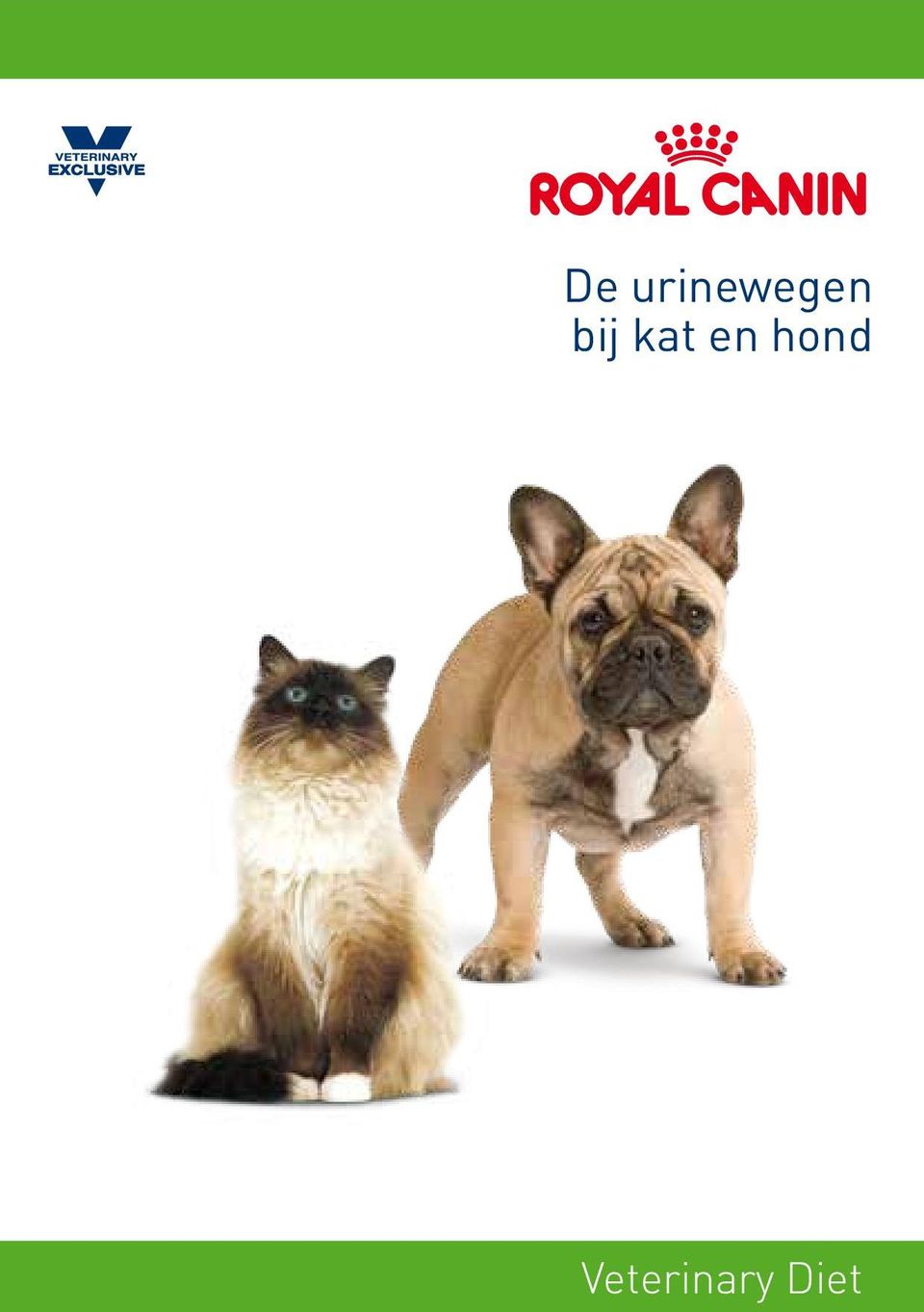 bij kat en