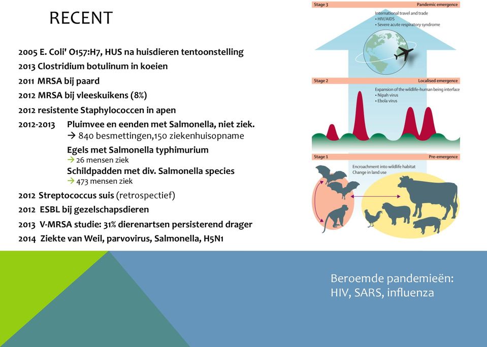 Staphylococcen in apen 2012-2013 Pluimvee en eenden met Salmonella, niet ziek.