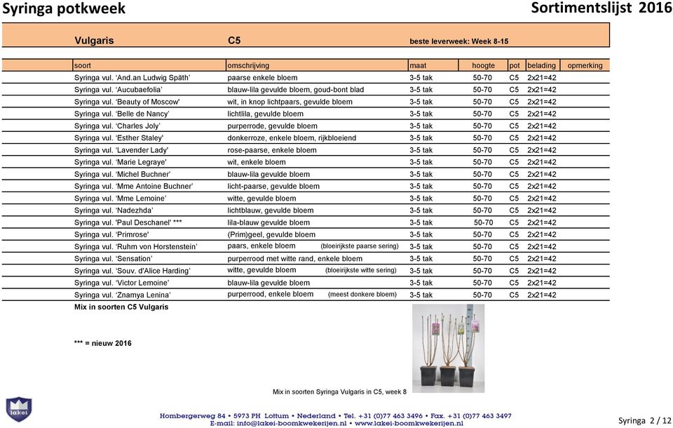 Belle de Nancy lichtlila, gevulde bloem 3-5 tak 50-70 C5 2x21=42 Syringa vul. Charles Joly purperrode, gevulde bloem 3-5 tak 50-70 C5 2x21=42 Syringa vul.