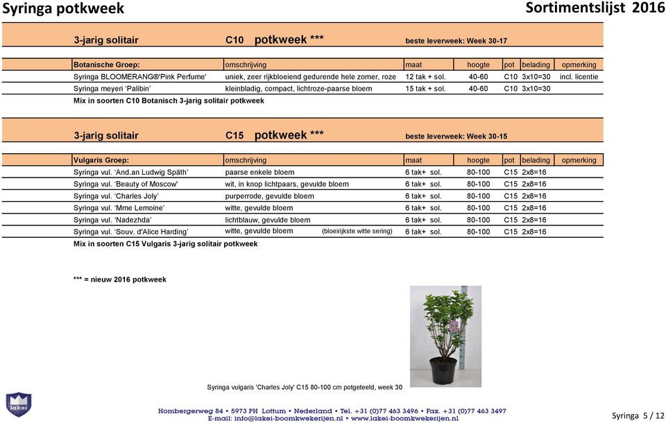 40-60 C10 3x10=30 Mix in soorten C10 Botanisch 3-jarig solitair potkweek 3-jarig solitair C15 potkweek *** beste leverweek: Week 30-15 Vulgaris Groep: omschrijving maat hoogte pot belading opmerking