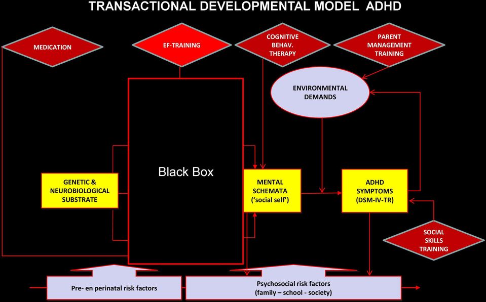 [EF]-PROBLEMS Inhibition Flexibility Working Memory GENETIC & NEUROBIOLOGICAL SUBSTRATE Black Box EMOTION-