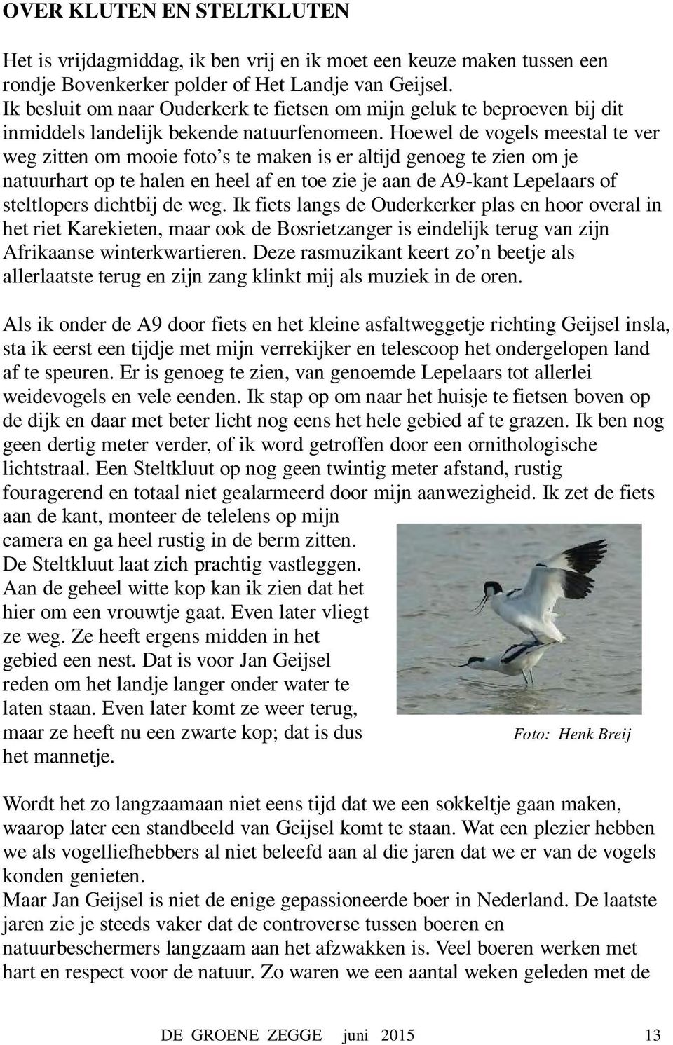 Hoewel de vogels meestal te ver weg zitten om mooie foto s te maken is er altijd genoeg te zien om je natuurhart op te halen en heel af en toe zie je aan de A9-kant Lepelaars of steltlopers dichtbij