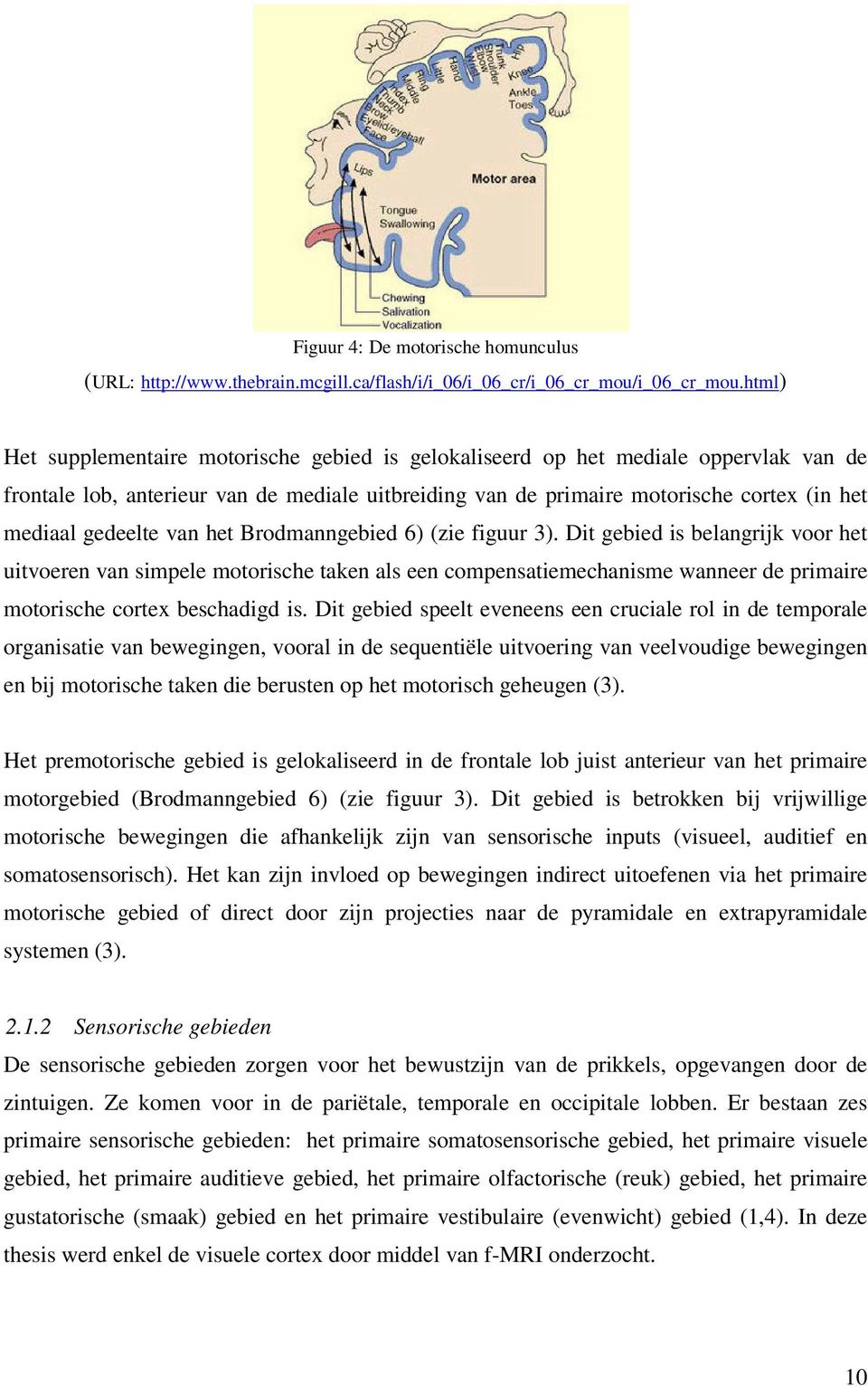 gedeelte van het Brodmanngebied 6) (zie figuur 3).