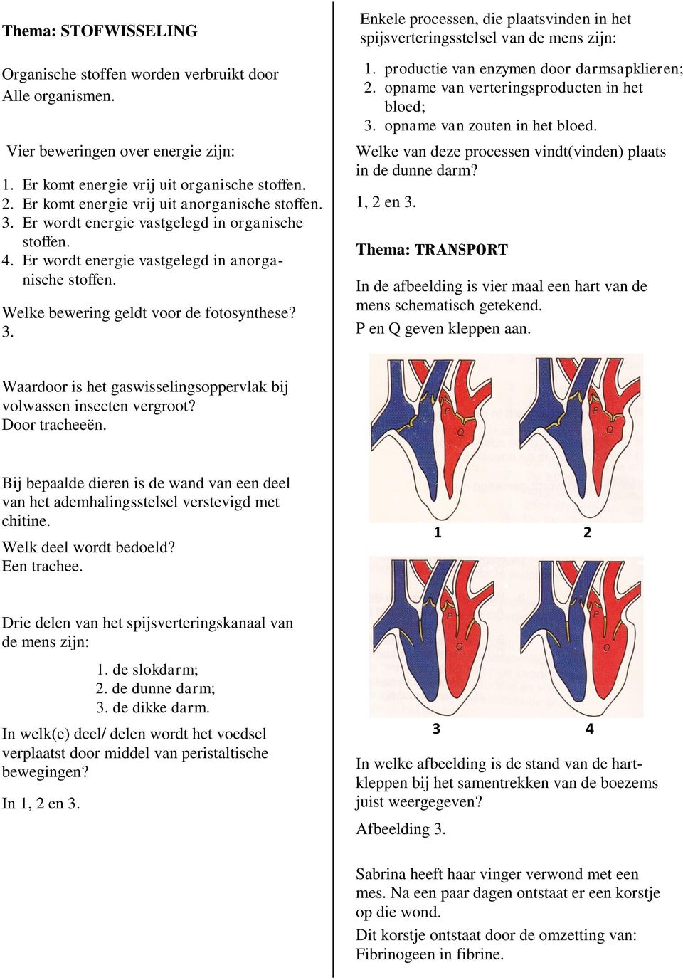 3. Enkele processen, die plaatsvinden in het spijsverteringsstelsel van de mens zijn: 1. productie van enzymen door darmsapklieren; 2. opname van verteringsproducten in het bloed; 3.