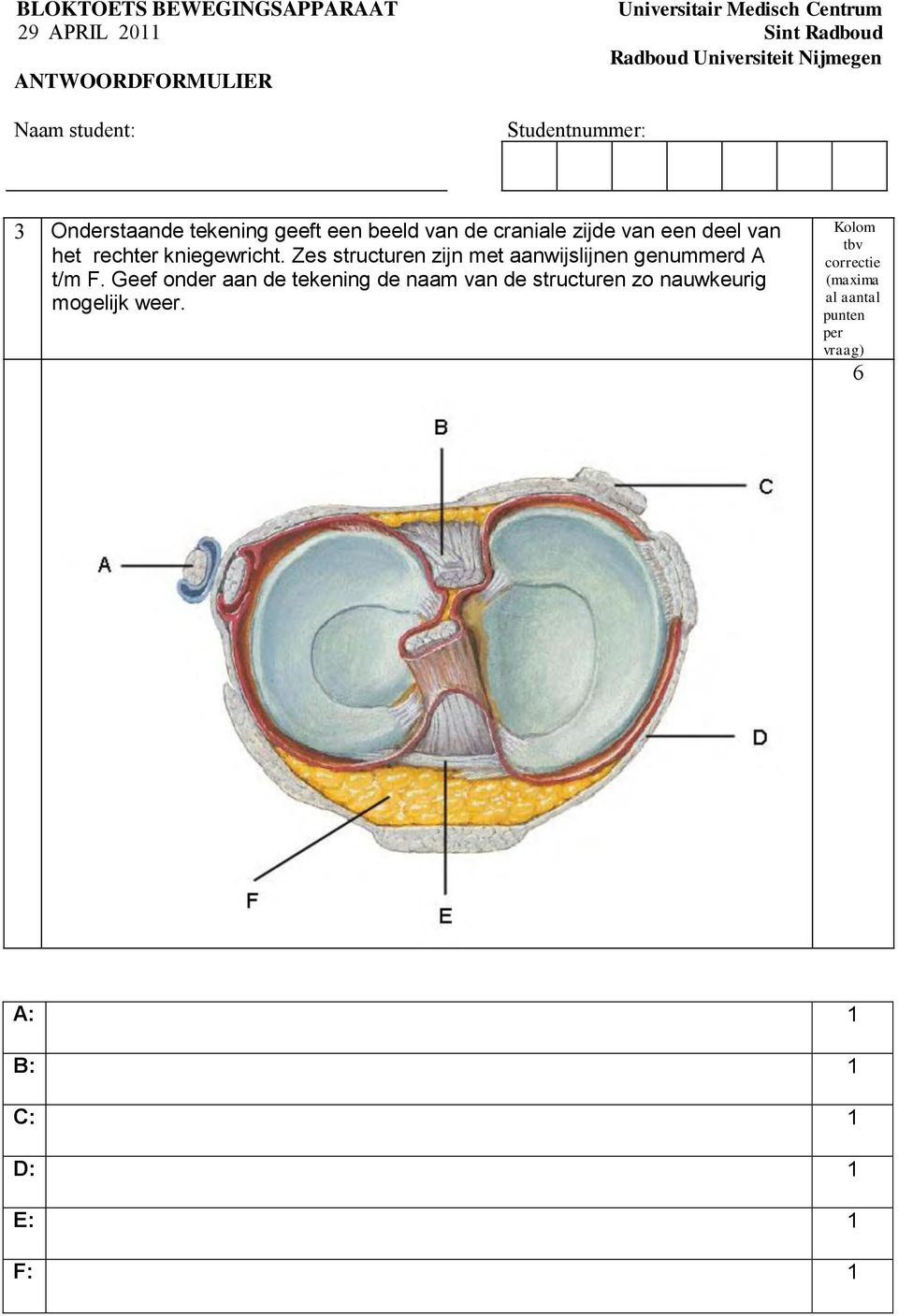 Zes structuren zijn met aanwijslijnen genummerd A t/m F.