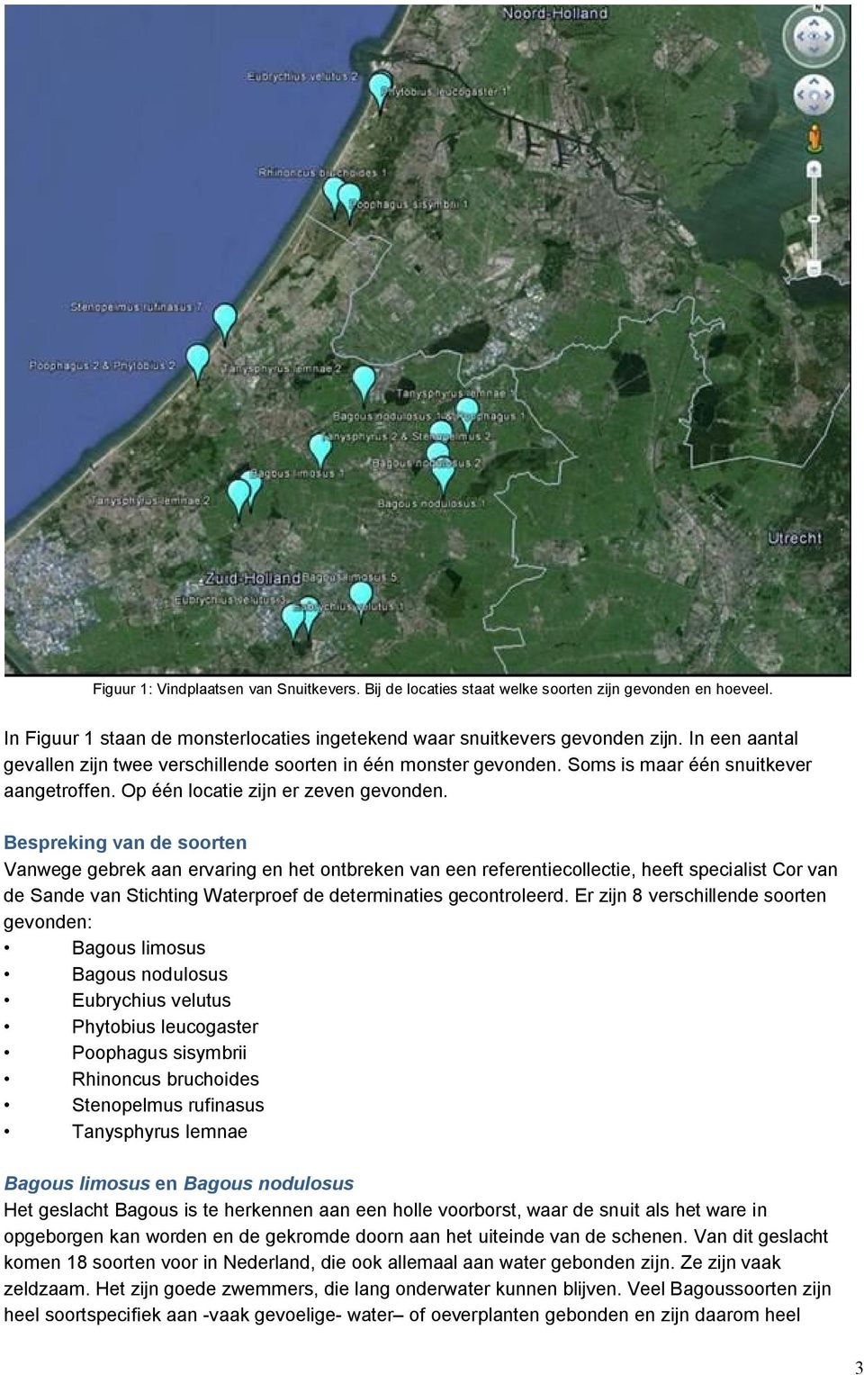 Bespreking van de soorten Vanwege gebrek aan ervaring en het ontbreken van een referentiecollectie, heeft specialist Cor van de Sande van Stichting Waterproef de determinaties gecontroleerd.