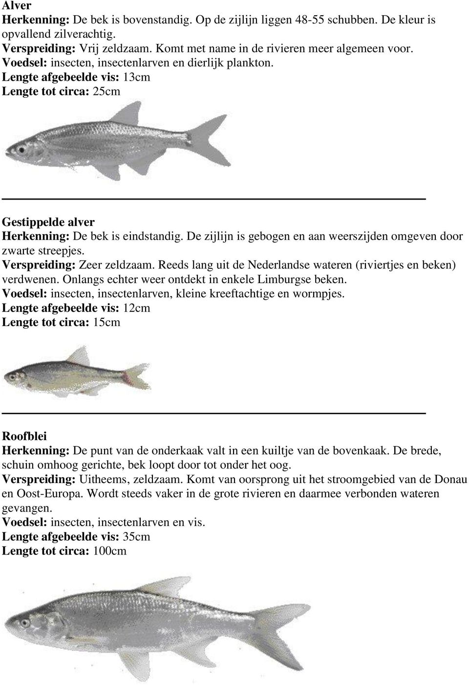 De zijlijn is gebogen en aan weerszijden omgeven door zwarte streepjes. Verspreiding: Zeer zeldzaam. Reeds lang uit de Nederlandse wateren (riviertjes en beken) verdwenen.