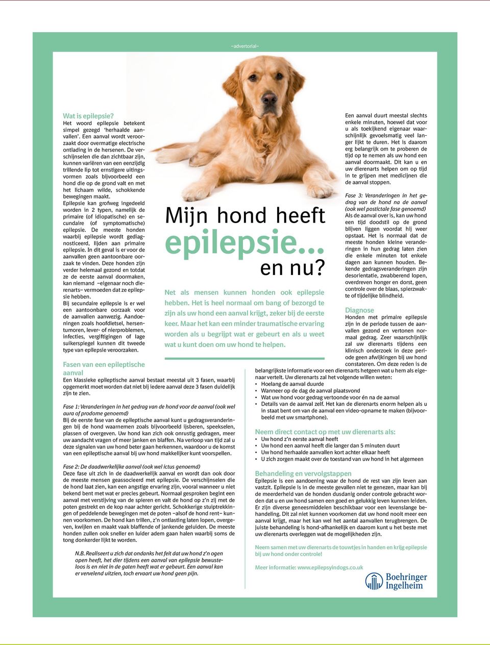 schokkende bewegingen maakt. Epilepsie kan grofweg ingedeeld worden in 2 typen, namelijk de primaire (of idiopatische) en secundaire (of symptomatische) epilepsie.