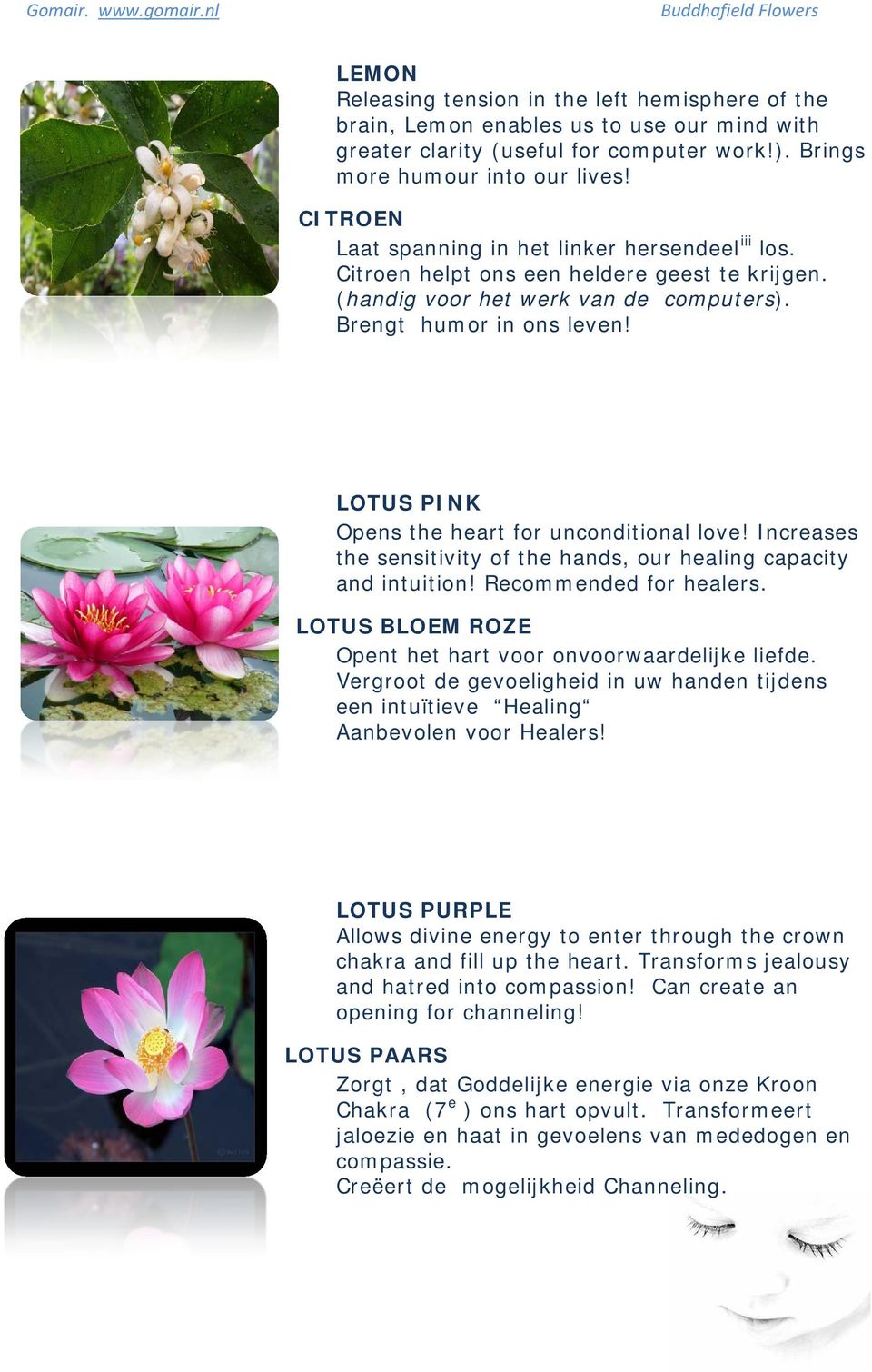 LOTUS PINK Opens the heart for unconditional love! Increases the sensitivity of the hands, our healing capacity and intuition! Recommended for healers.